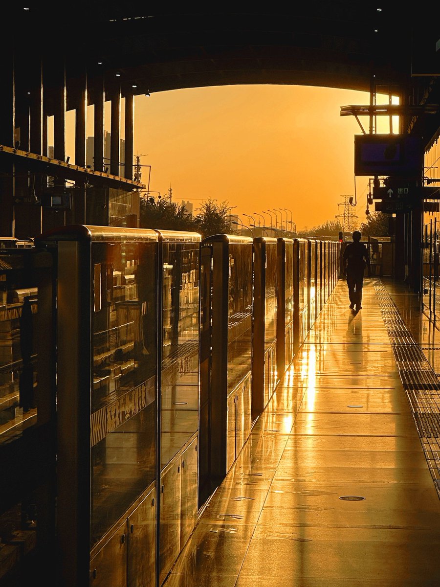 Renan Monteiro tweet media