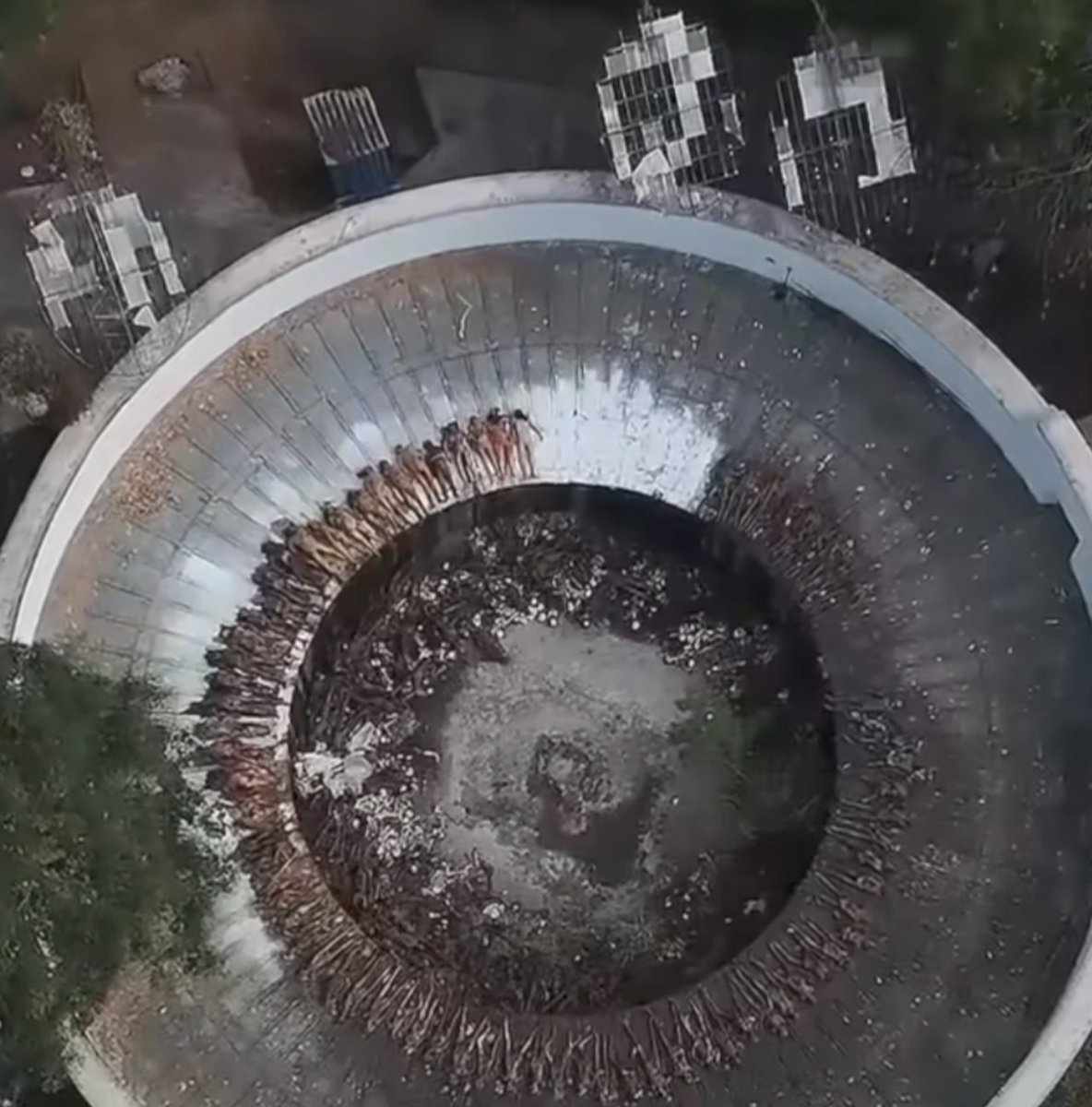 Кибернетик Снаут🇩🇪🇰🇬 tweet media