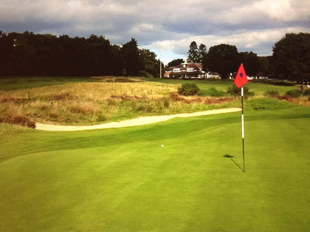 Rick Young tweet media