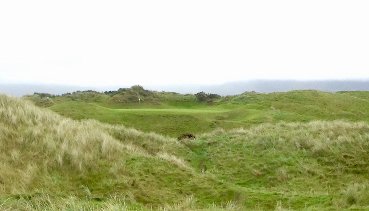 Rick Young tweet media