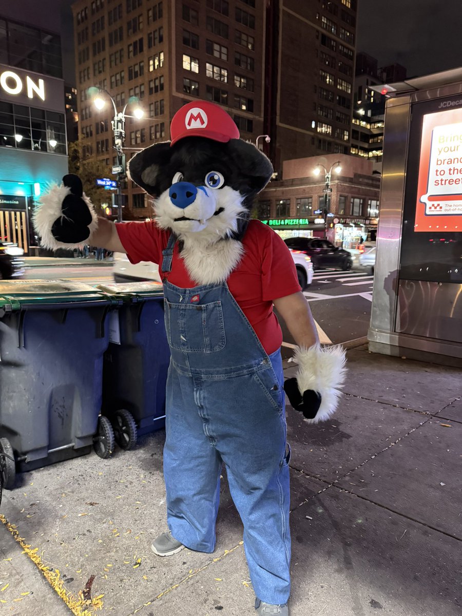 Cubbyfox tweet media