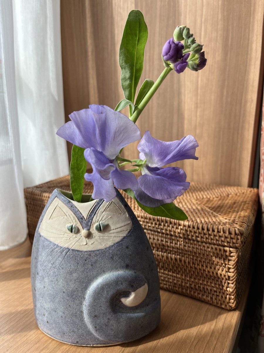 Mipotori tweet media