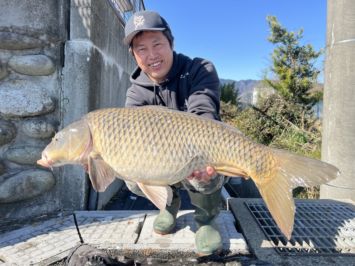 Toshiaki Mitsui tweet media