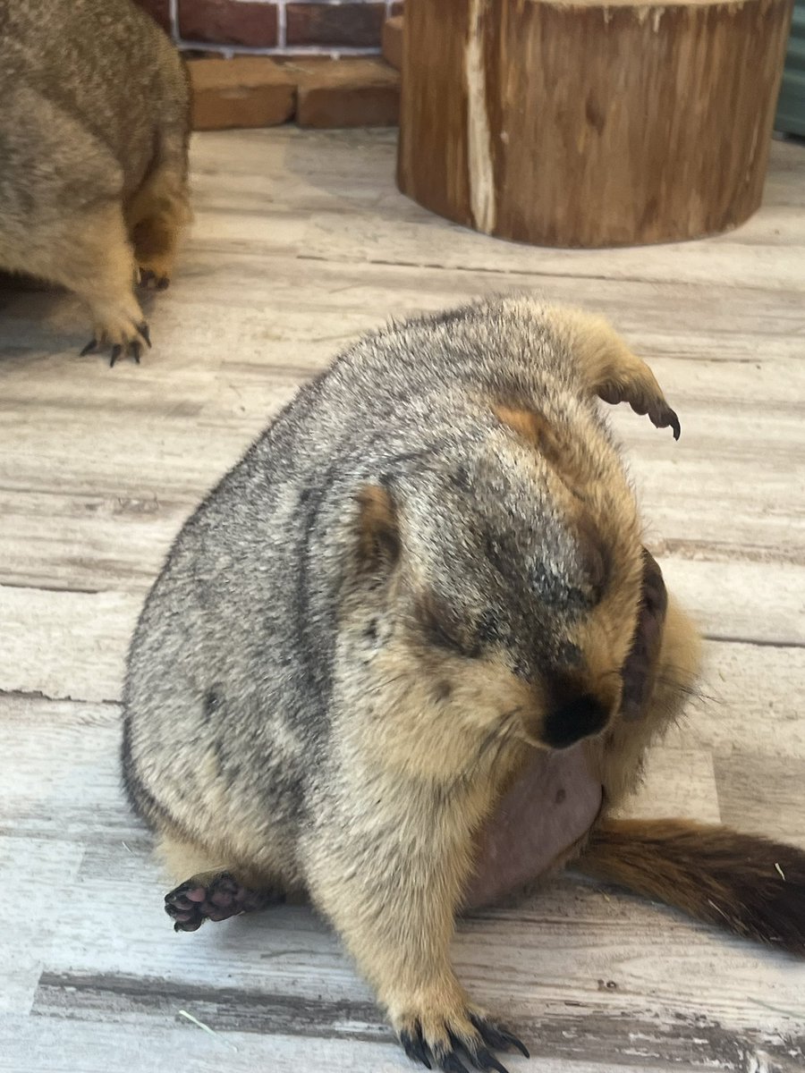 もえち tweet media