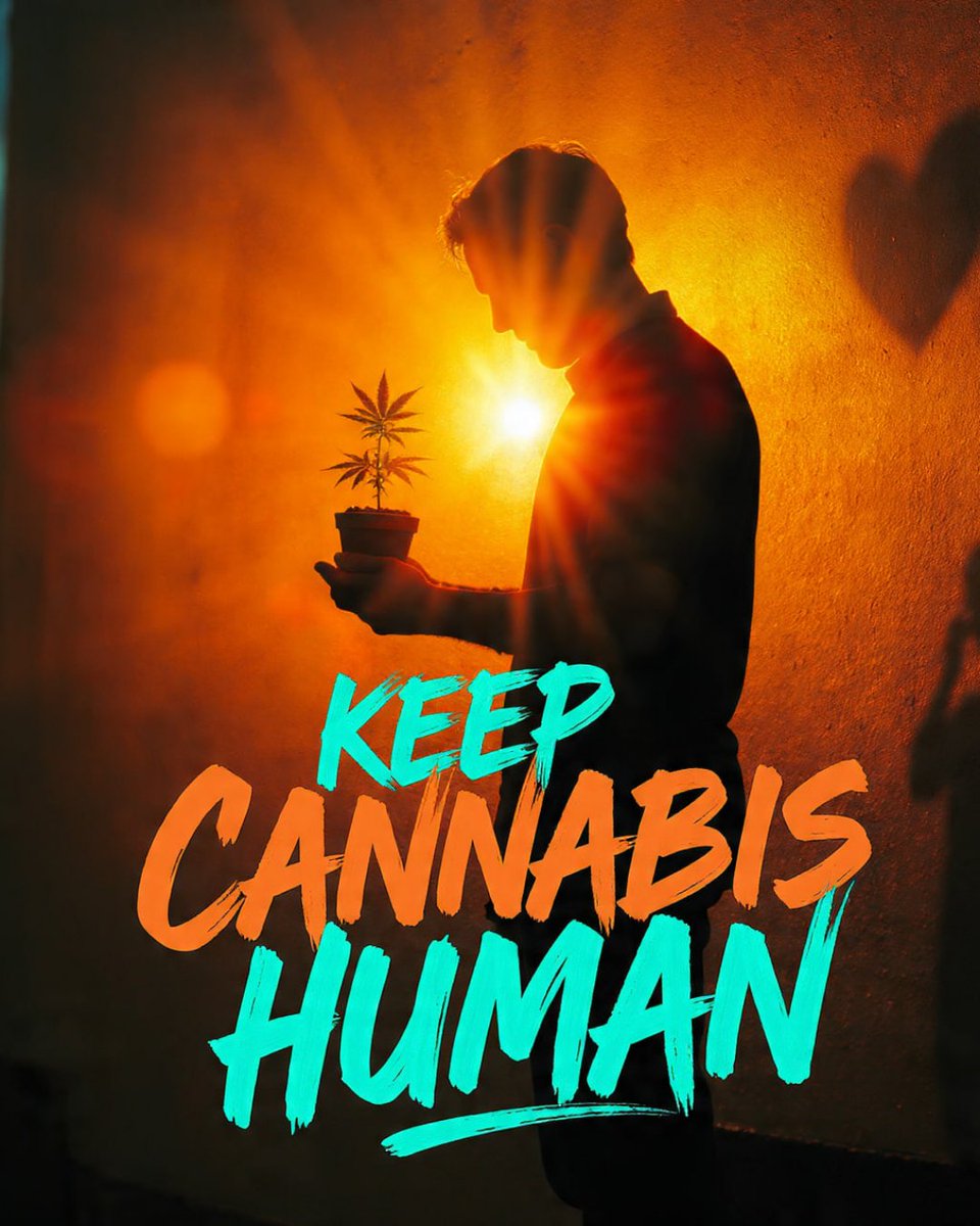 When we talk about cannabis, let's remember the real folks nurturing this plant. It's about small growers and hard-working people building fair opportunities. We need to keep the heart in it, making sure everyone gets a chance to thrive, not just big corporations. Let's ensure