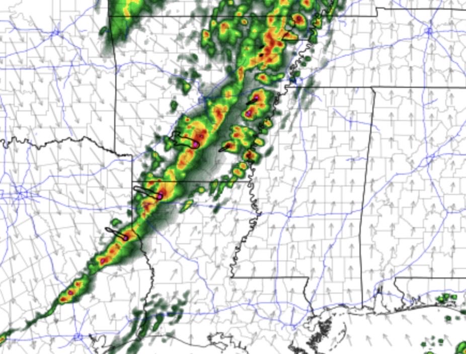 Carmen Palermo tweet media