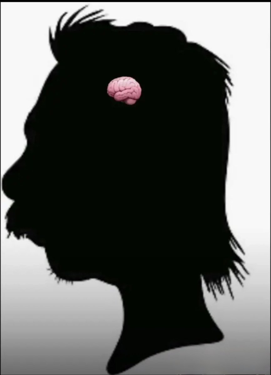 Big Z!pper tweet media