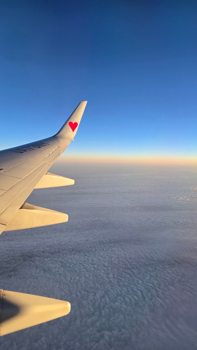 まーめいど tweet media