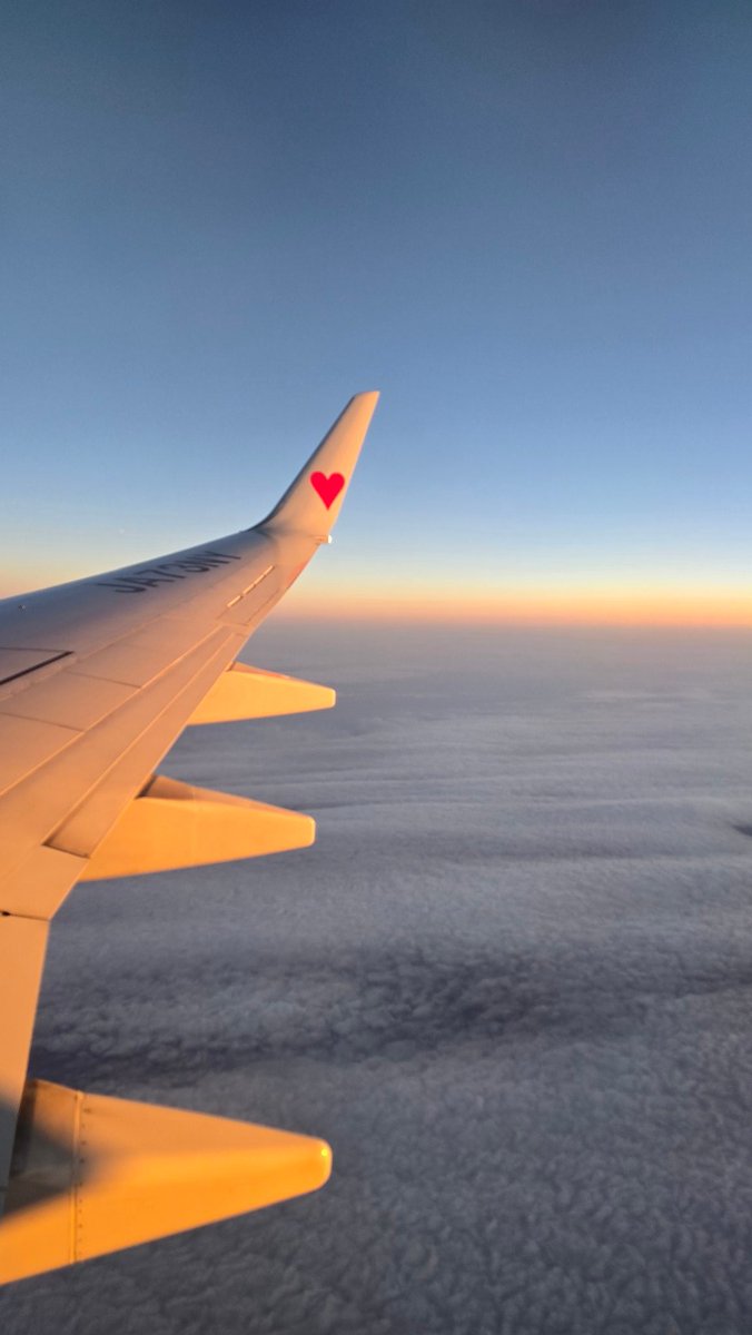 まーめいど tweet media