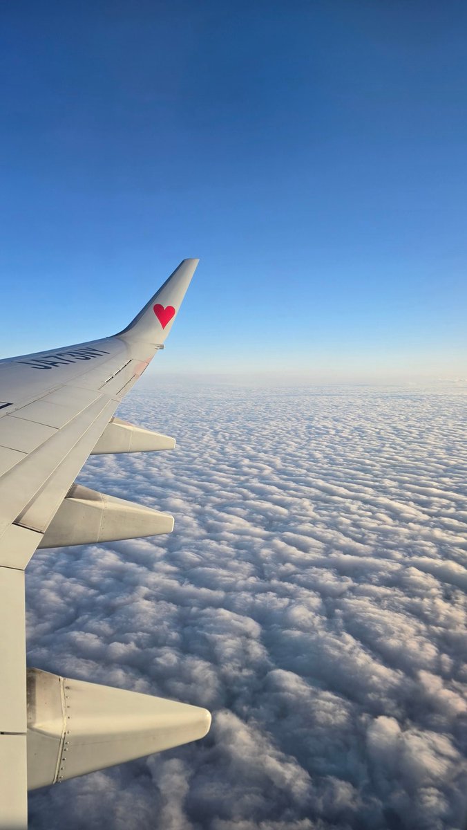 まーめいど tweet media