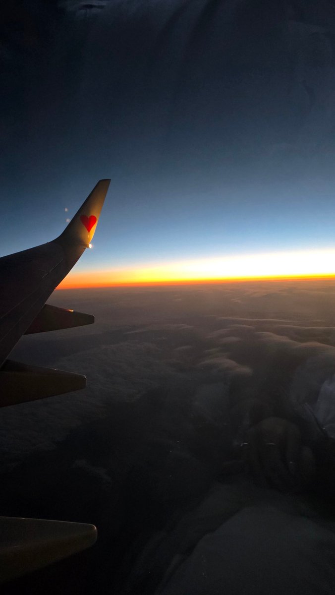 まーめいど tweet media