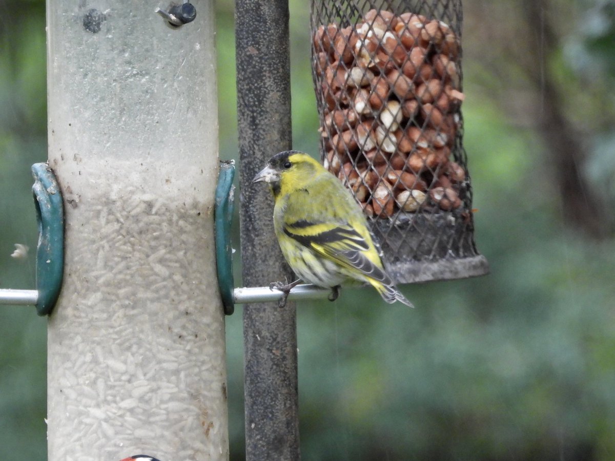 Alan Boddington tweet media