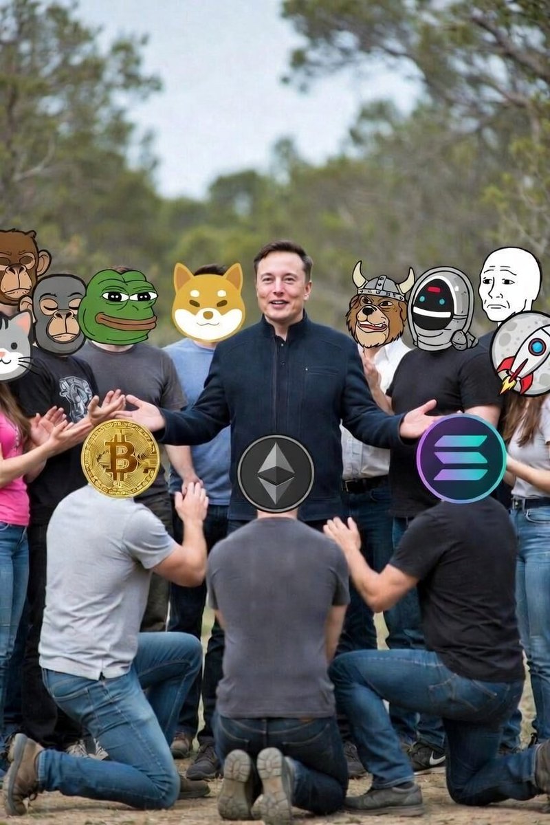 TMaximus tweet media