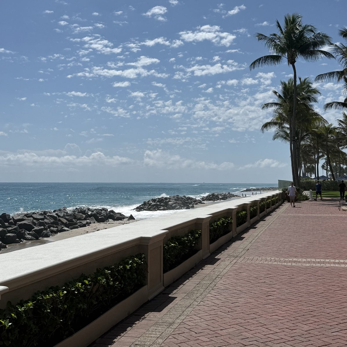 ShannaHalv's tweet photo. What blizzard??
Here I am stuck in paradise an extra day. 🏝️☀️ https://t.co/TLXcmwjIdU