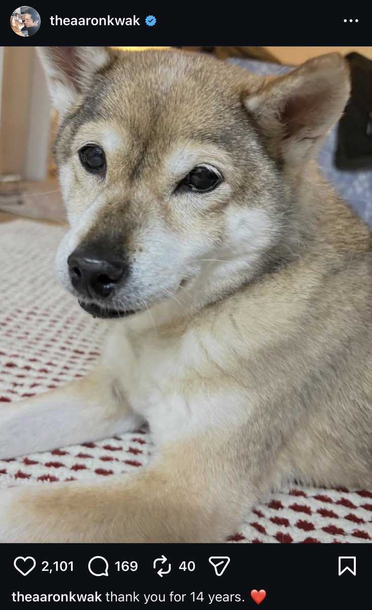 ของขวัญครบรอบ 14 ปี วันนี้วันสำคัญ คุยกับเมมเบอร์แล้ว เป็นวันเดบิวของพวกเรา ผมรักคุณ แม้ว่าผมไม่ดีพอแต่ขอบคุณที่รักกัน ผมจะพยายามให้ดีที่สุด ผมมาถึงจุดนี้ได้ก็เพราะพวกคุณทุกคน ขอบคุณเสมอ รู้ไหมว่ามันล้ำค่ามากเลย ยินดีกับพวกเราในโอกาสครบรอบ 14 ปี! รักนะ❤️ #NUEST_14th_ANNIVERSARY