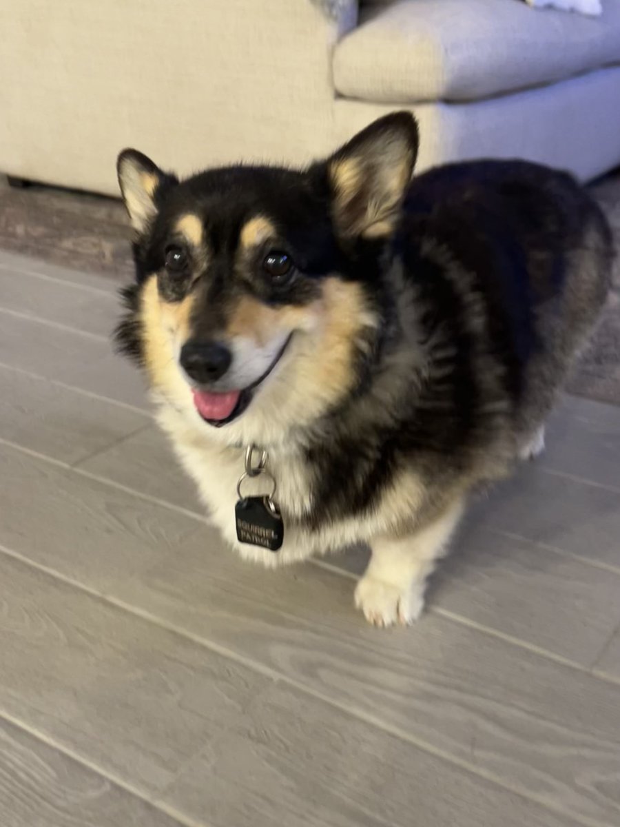 Club Stephen King 🎈 tweet media