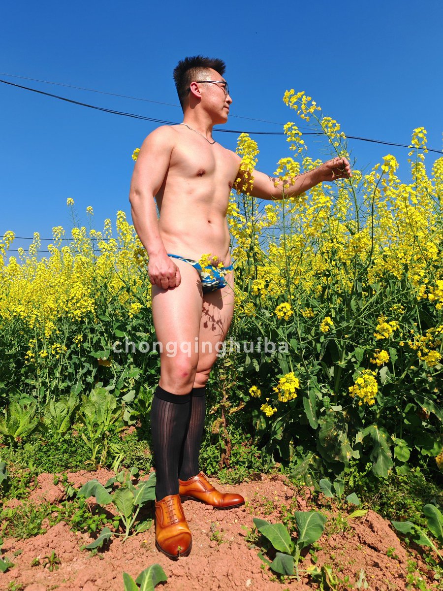 重庆辉霸 tweet media