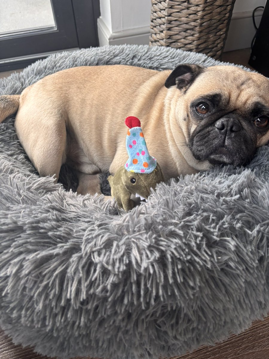 Lester Freamon tweet media