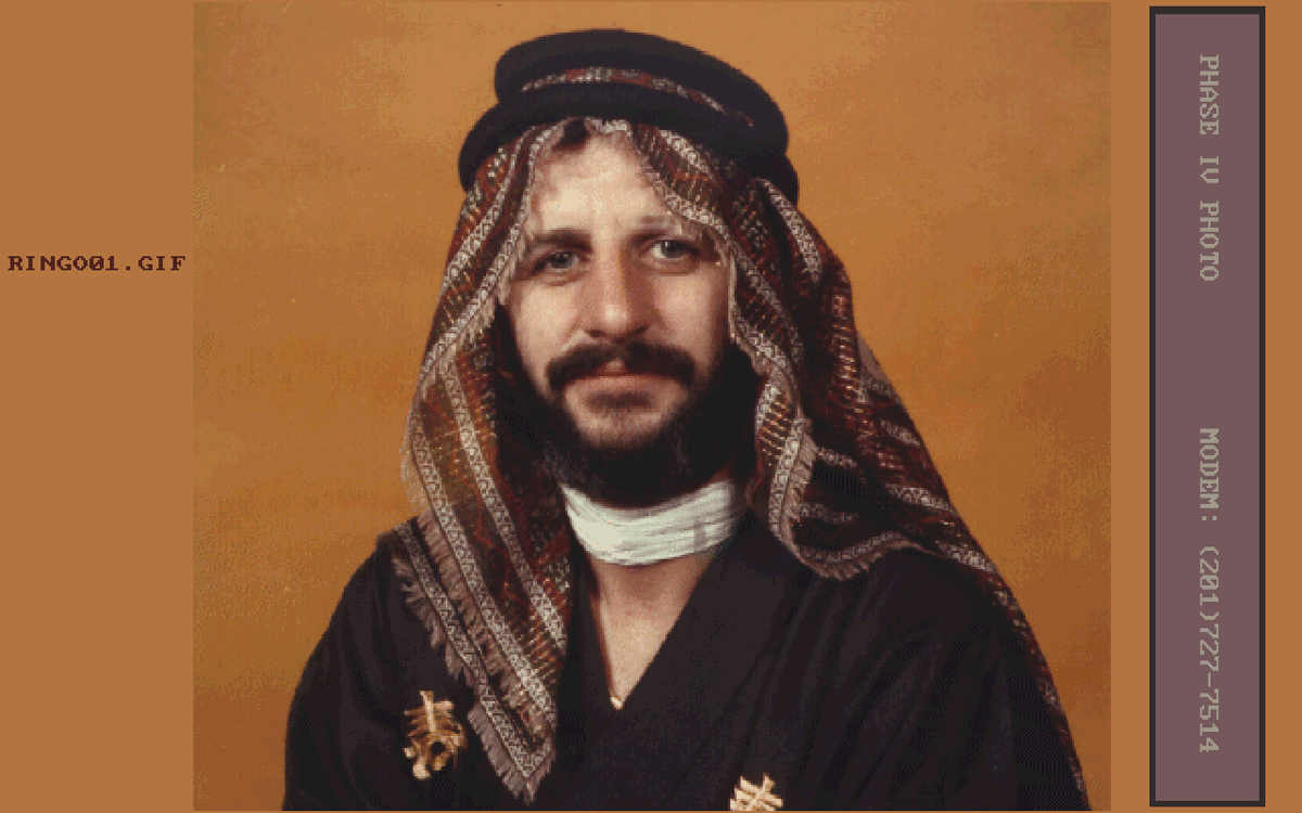 GIFS GALORE tweet media