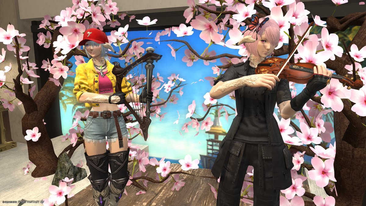 Iggy / イギ tweet media