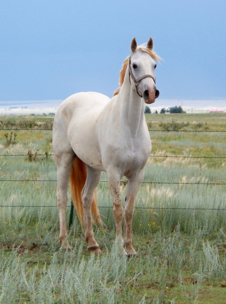 Serene 🌼 tweet media