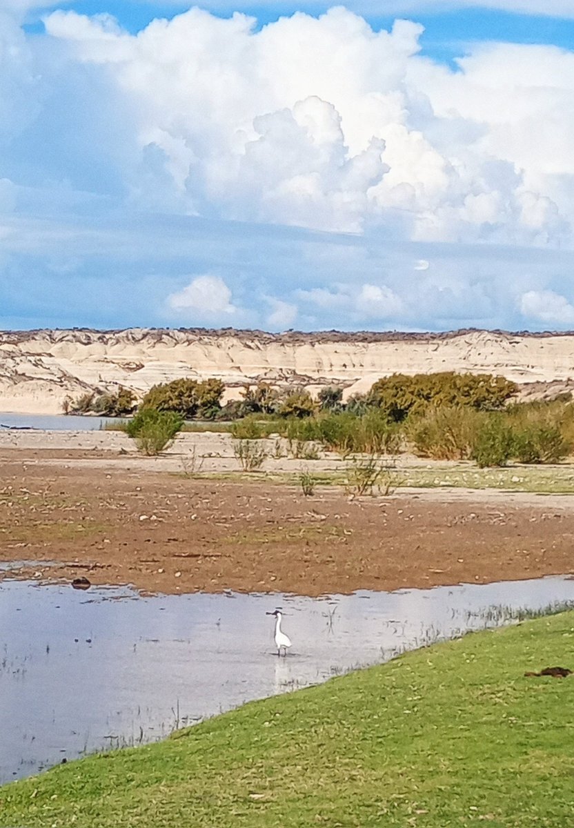 josedeni's tweet photo. Capas de colores #meseta #bardas #rionegro #Patagonia @suvarierol @angelesfrai https://t.co/mhCZbbD1lQ