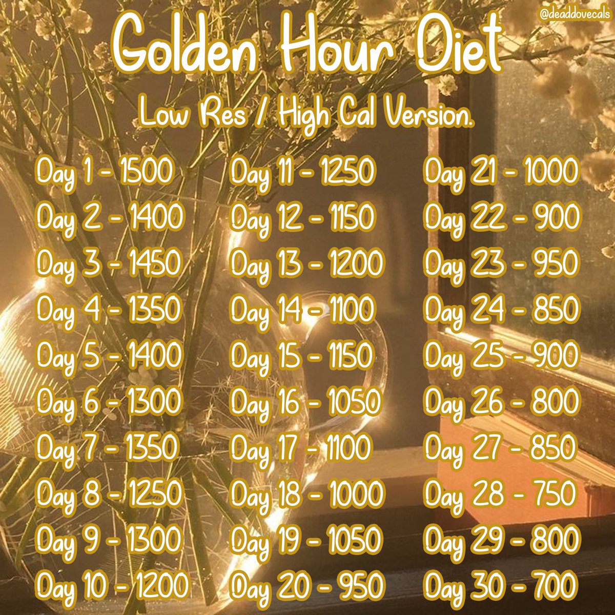 qiqi 𝜗𝜚 ࣪˖ ִ ( 0/10kg ) tweet media