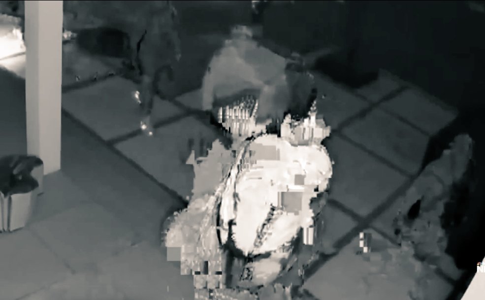 Jennifer Coffindaffer tweet media