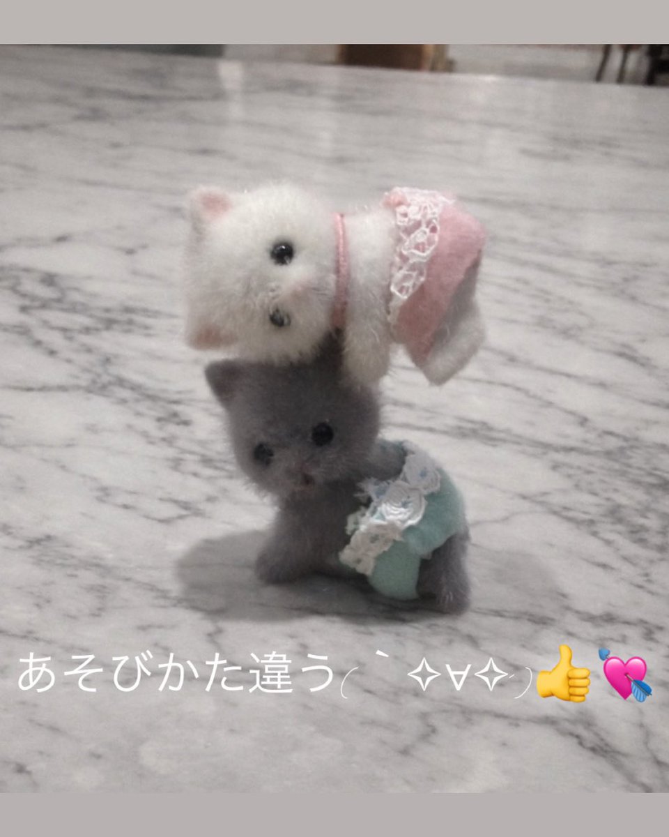 つきちゃん tweet media