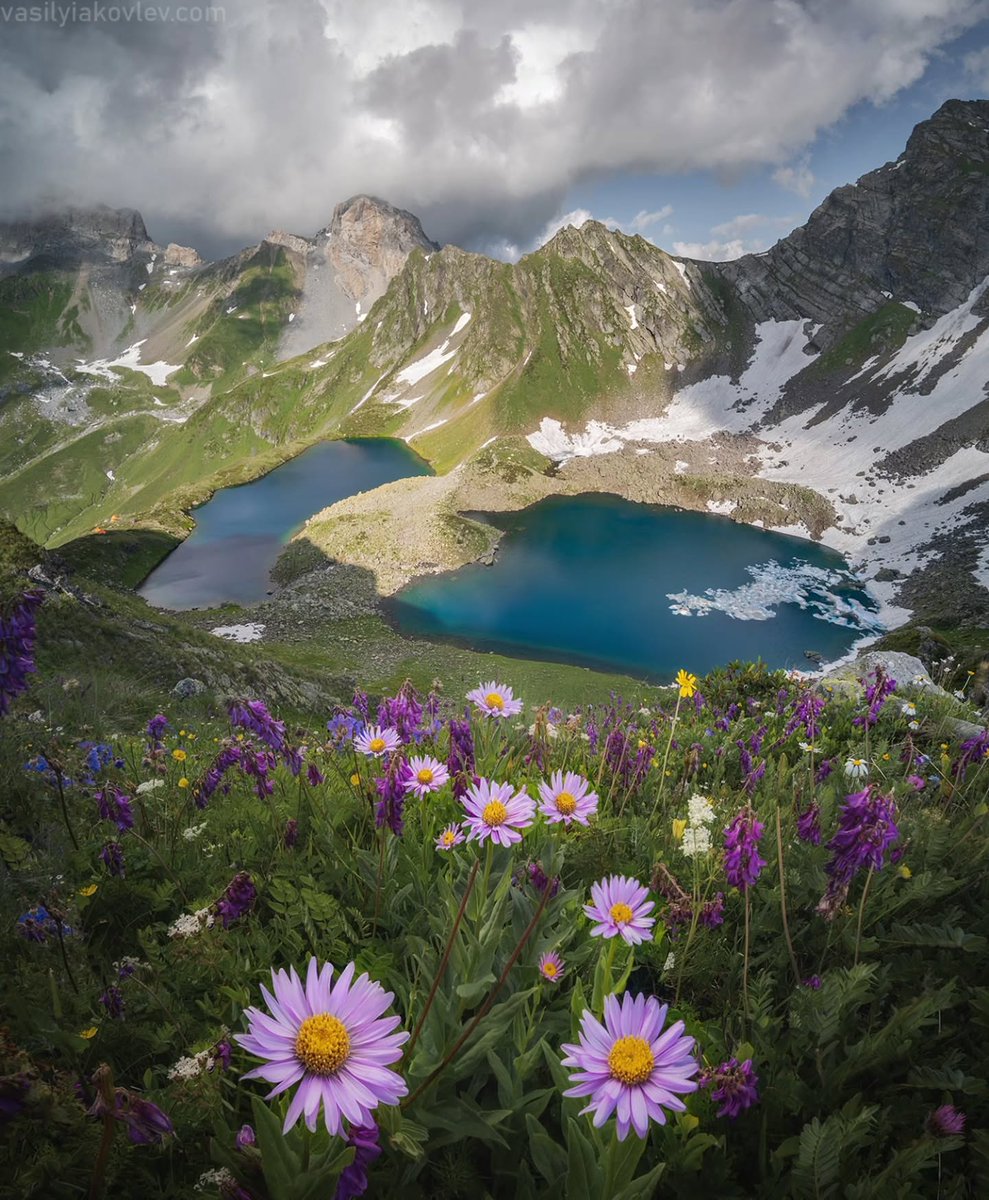 Purely Green tweet media