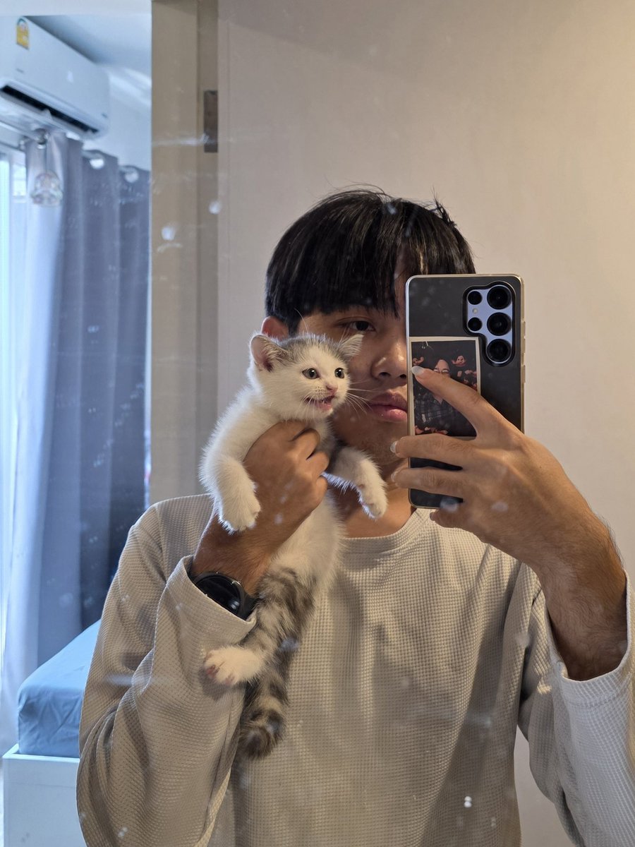 Rex1920T's tweet photo. แมววว https://t.co/nLU8yNlpZd
