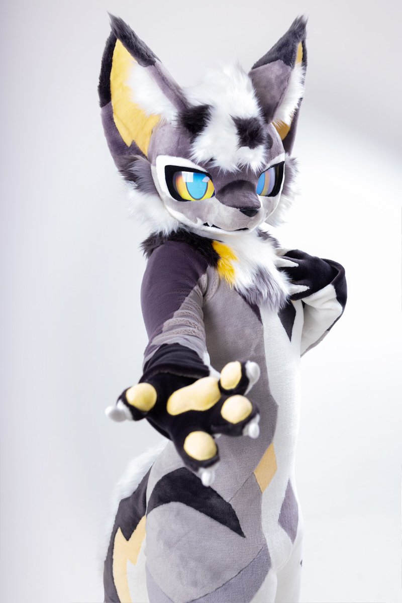 TAS兽化工作室 tweet media