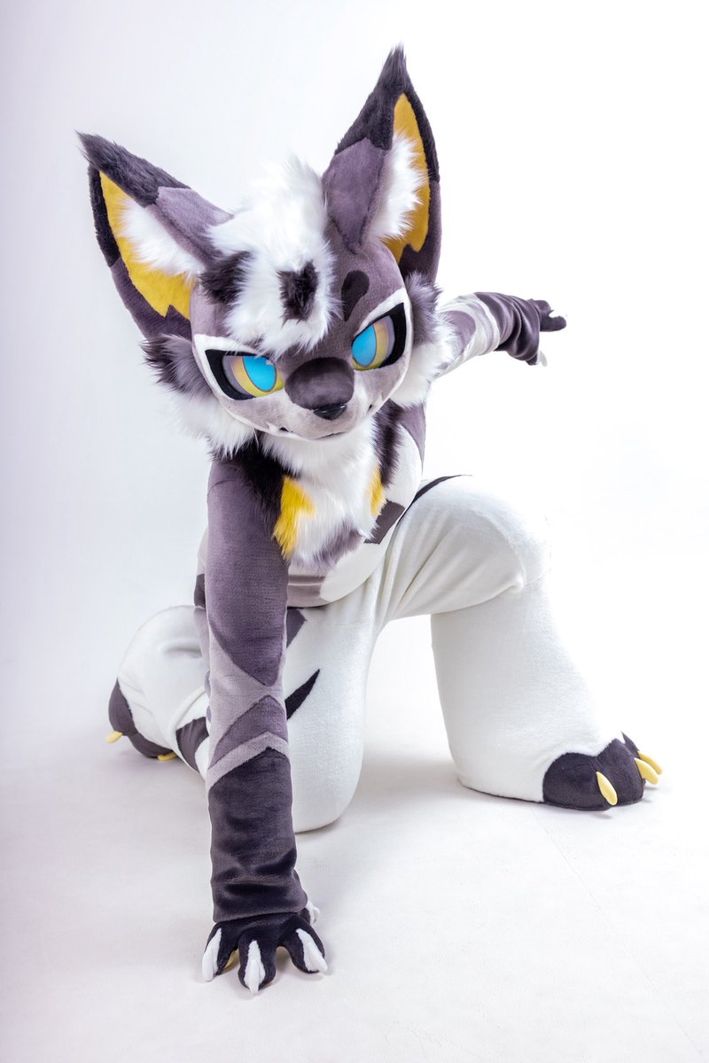 TAS兽化工作室 tweet media