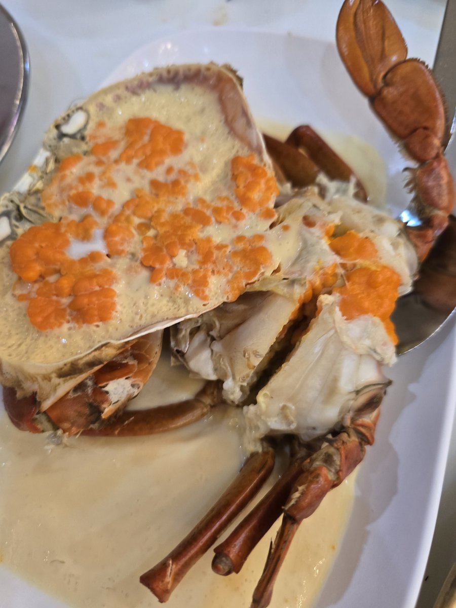 XTER / FF46 F17-18 tweet media