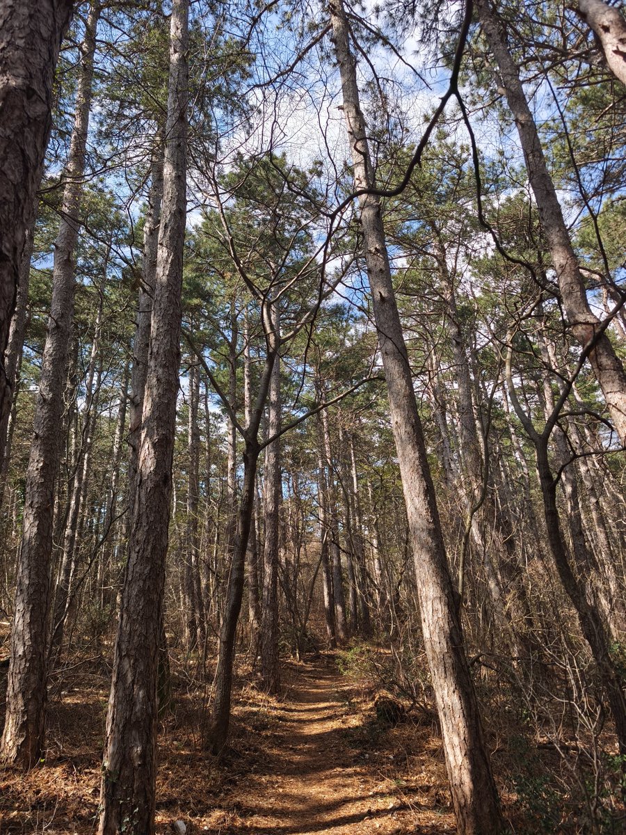 Petar Pero tweet media