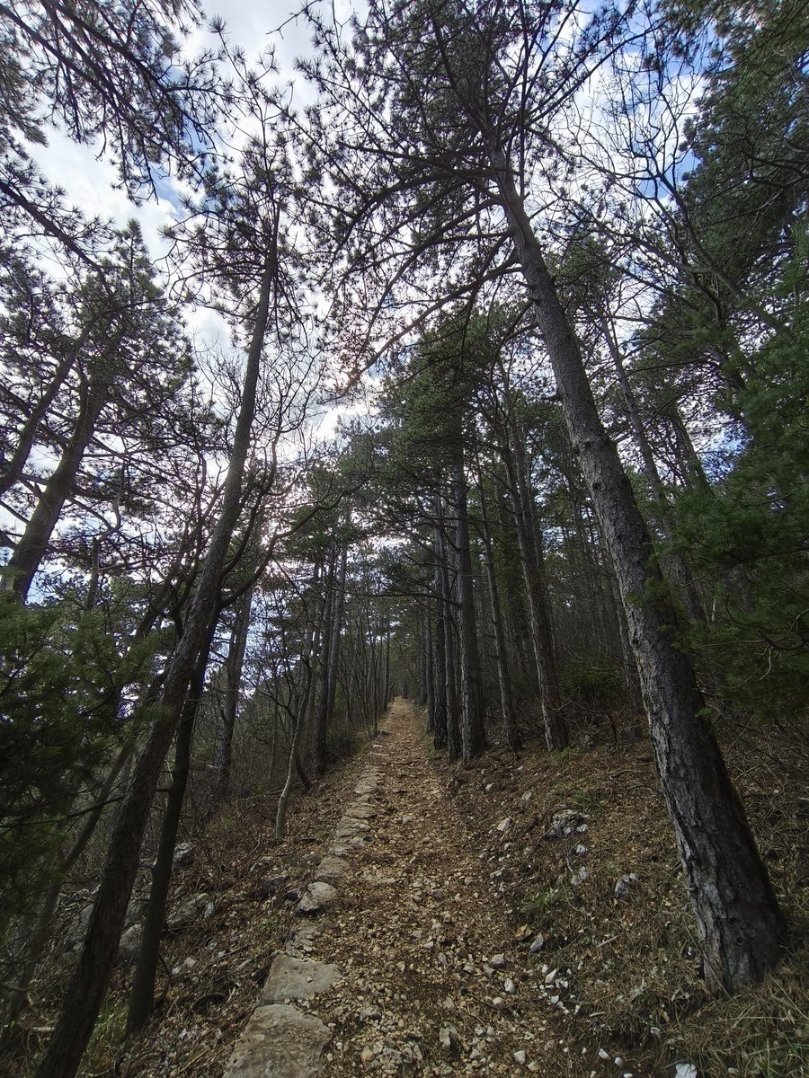 Petar Pero tweet media