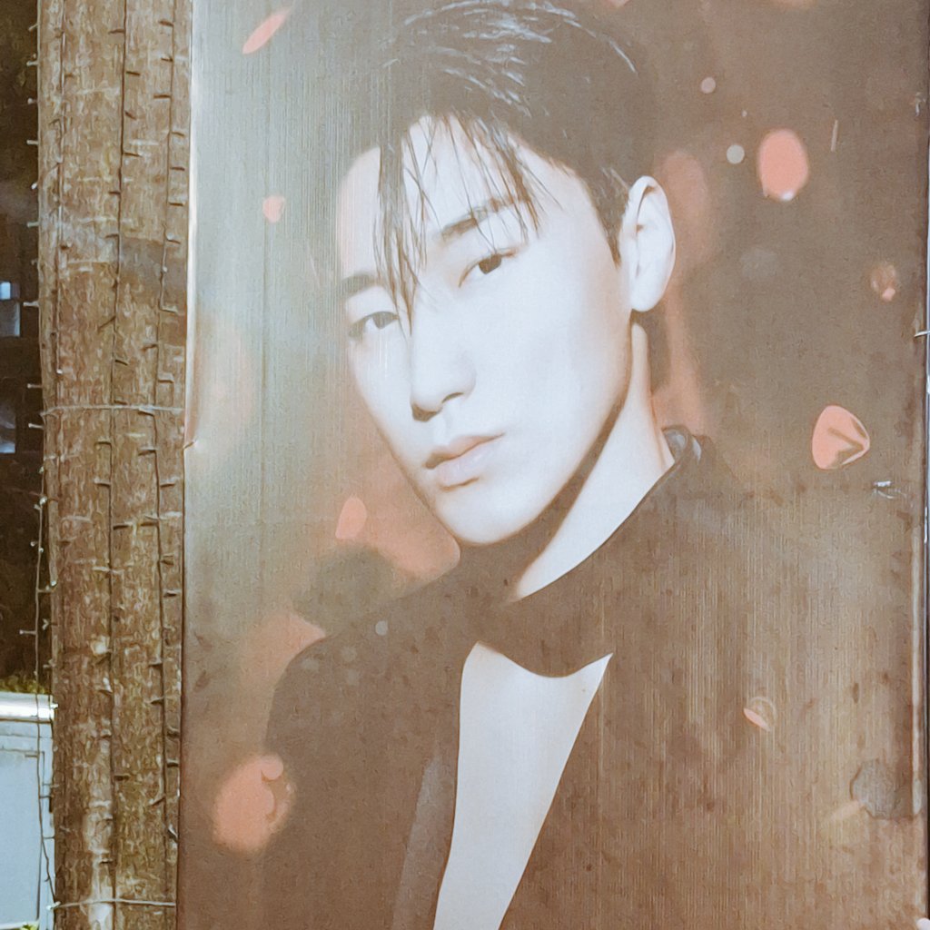 SLANIA スラニア🦋 ✴ KÆOS | Academic Grind! tweet media