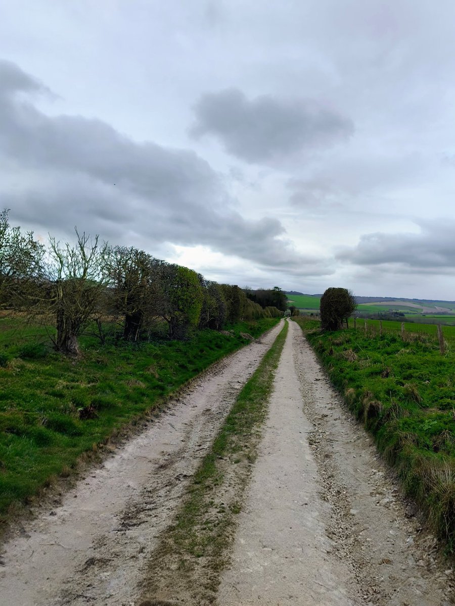 LadyGrace27's tweet image. Not every path needs a destination...💚

#sundayvibe #motheringsunday #walks #walking #countryside