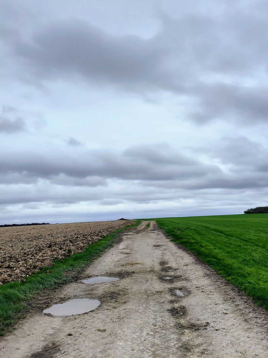 LadyGrace27's tweet image. Not every path needs a destination...💚

#sundayvibe #motheringsunday #walks #walking #countryside