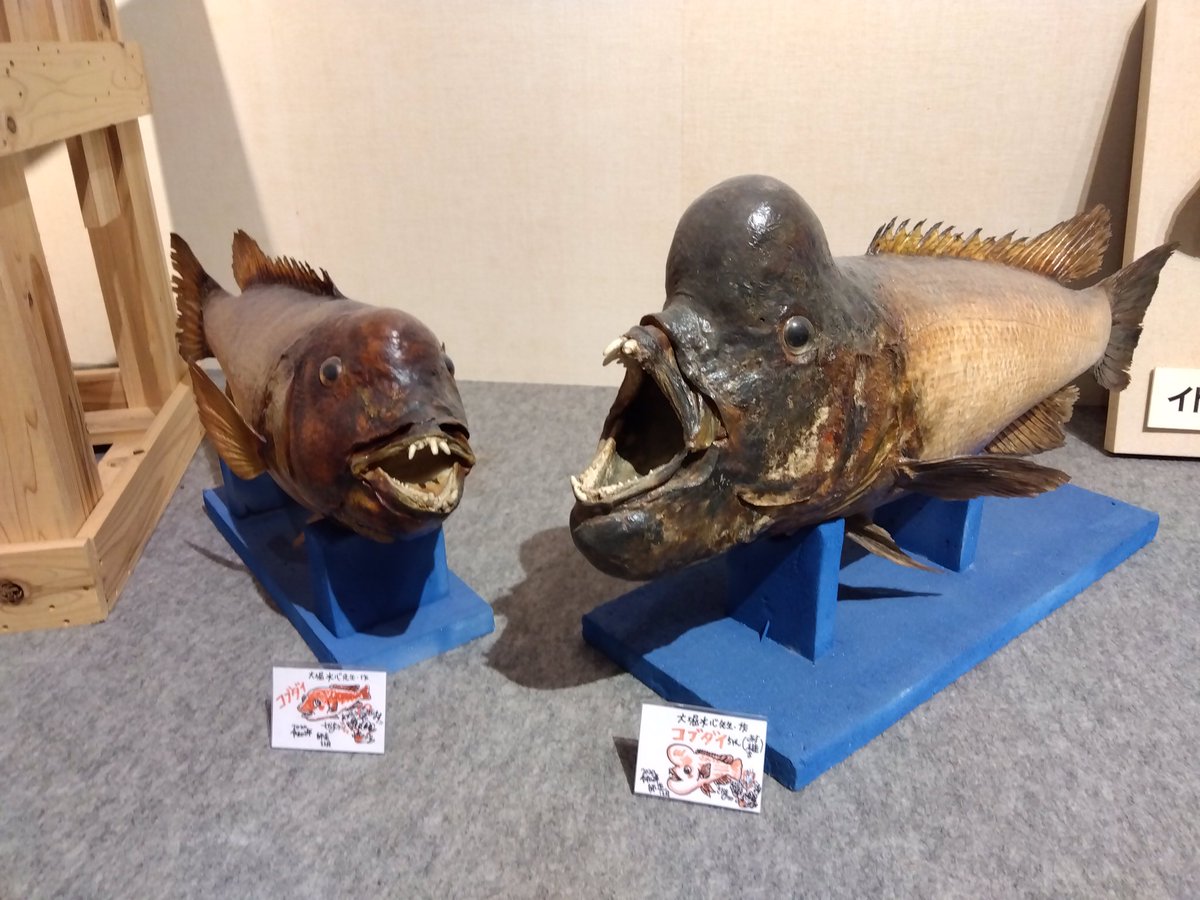 kyao46's tweet photo. 👹きみらなまらマジでワンチャン近藤くん？、おん https://t.co/EK3Uq3nomL