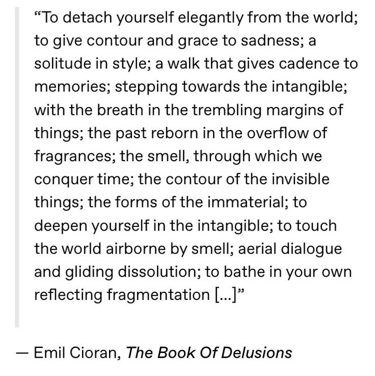 Literarium tweet media