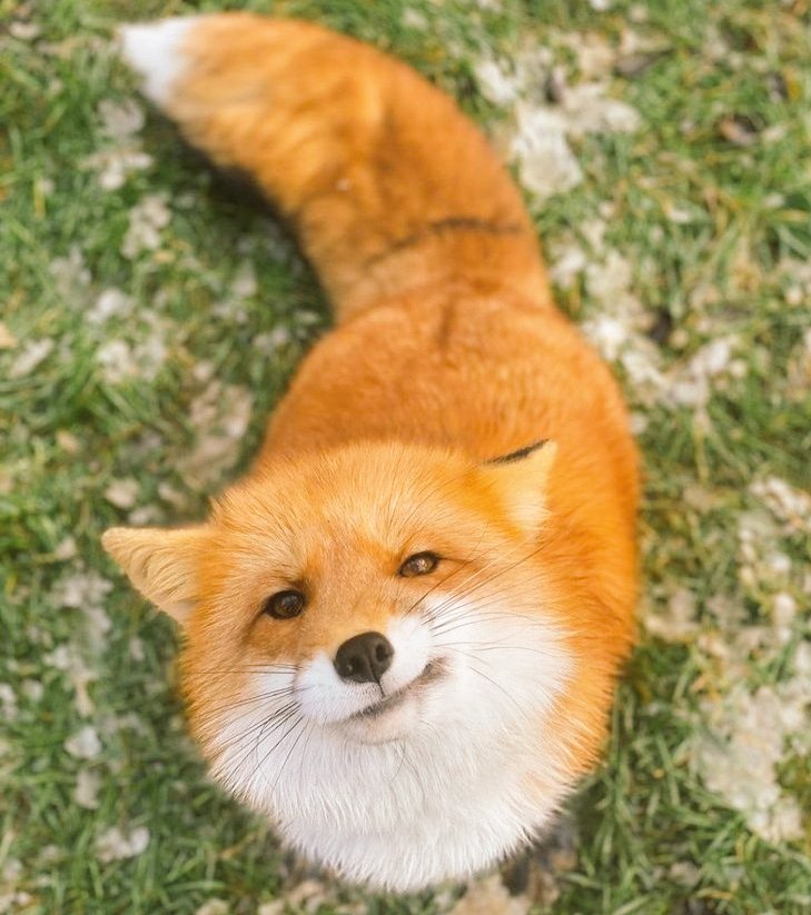 mimi ୨ৎ tweet media