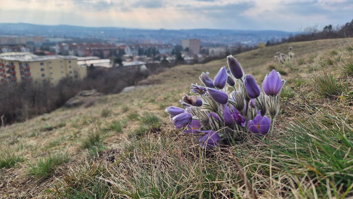 Vilém Kužel ⛰ tweet media