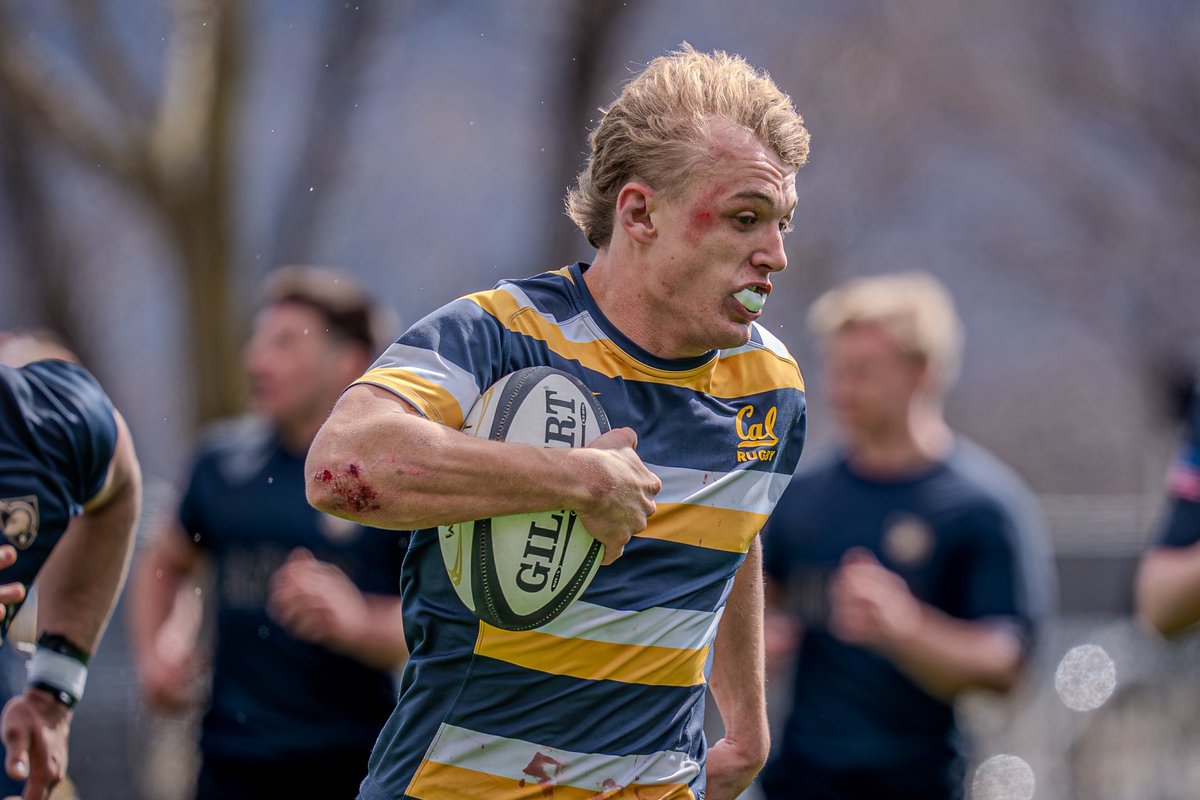 Michael K. Heit tweet media