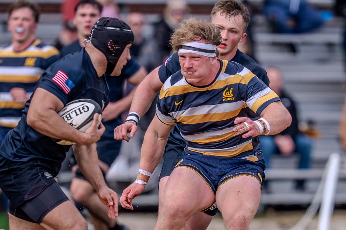 Michael K. Heit tweet media