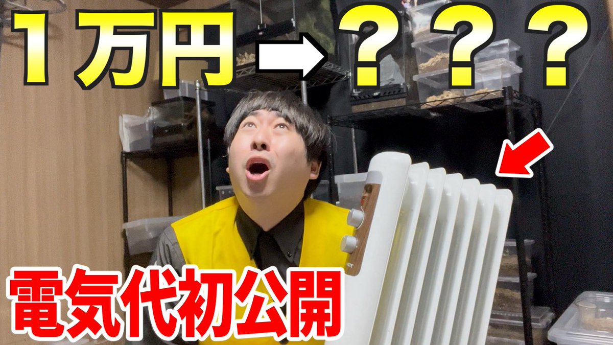 キョンシー蜂丸(昆虫ハウス101号室) tweet media