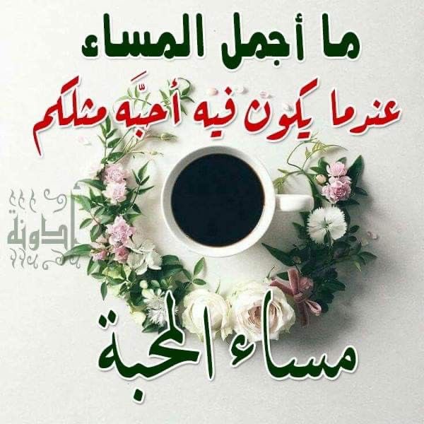 نجمة سدير tweet media