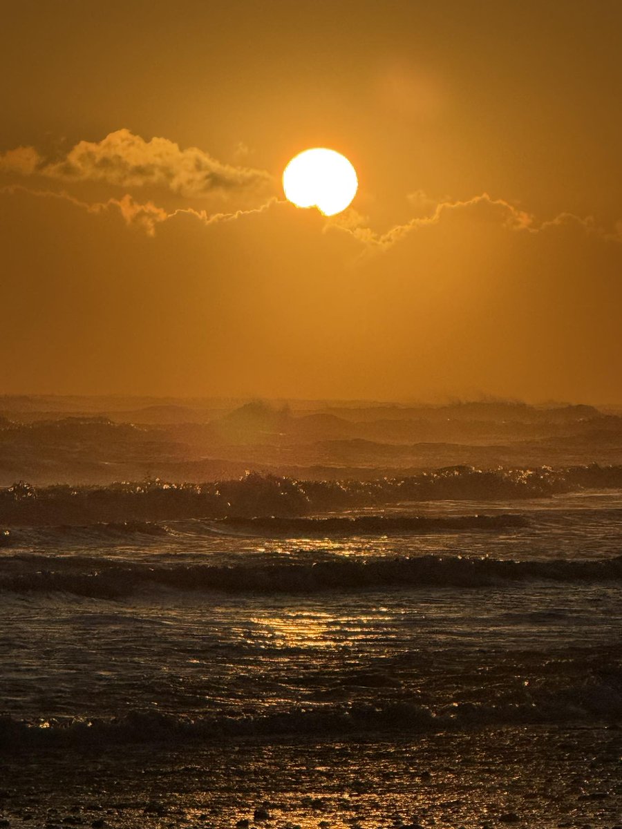 atreya2112's tweet photo. #FoxProse #Vss365

Give me a minute of time,
A windchime in a hurricane,
An assure, outside griefs redesign~
A beautiful walk
By the seas gentle rhyme,
Dawn lit, and serene, 
With dreams..intertwined

#PoetryCommunity

Pic is my own https://t.co/gNFLXxDvHz