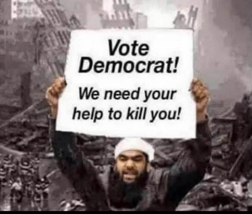 macfarrell tweet media