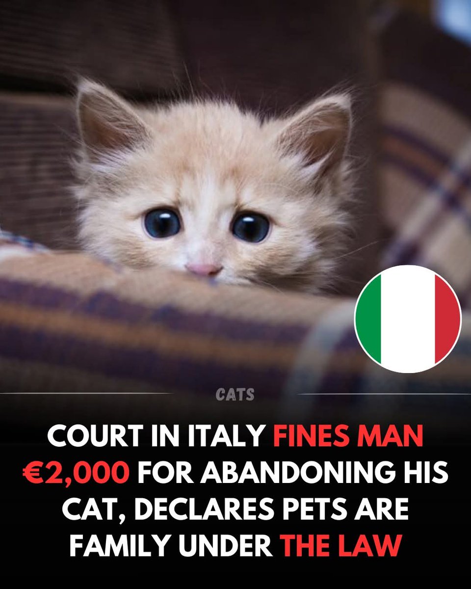 macfarrell tweet media